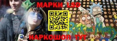 Альфа ПВП Новодвинск