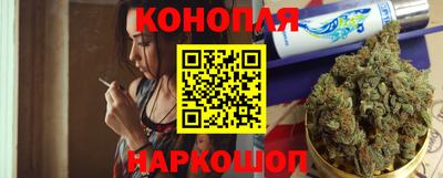 Альфа ПВП Новодвинск